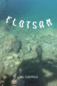 Produktbild: Flotsam (The Artemesis Mysteries, #1)
