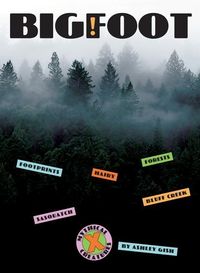 Produktbild: Bigfoot
