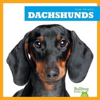 Produktbild: Dachshunds