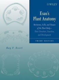 Produktbild: Esau's Plant Anatomy