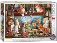Produktbild: Katzen am Aquarium