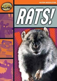 Produktbild: Rapid Reading: Rats! (Stage 4, Level 4b)