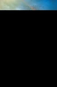 Produktbild: Naturalismus