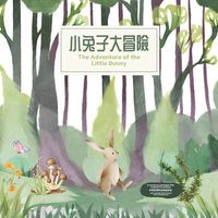 Produktbild: The Adventure of the Little Bunny