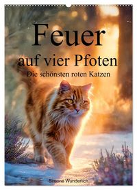 Produktbild: Feuer auf vier Pfoten - Die sch&ouml;nsten roten Katzen (Wandkalender 2027 DIN A2 hoch), CALVENDO Monatskalender