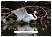 Produktbild: Die Sch&ouml;nheit der Reiher (Wandkalender 2026 DIN A3 quer), CALVENDO Monatskalender