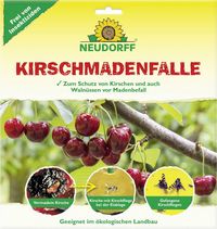 Produktbild: Neudorff 00324 Insektenf&auml;nger 1 St.