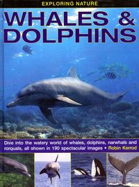 Produktbild: Exploring Nature: Whales & Dolphins: Dive into the Watery World of Whales, Dolphins, Narwhals and Rorquals, All Shown in 190 Spectacular Images