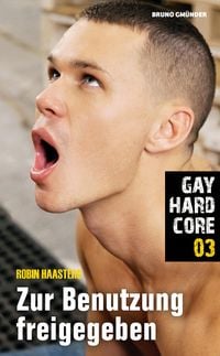 Bild vom Artikel Gay Hardcore 03: Zur Benutzung freigegeben vom Autor Robin Haasters