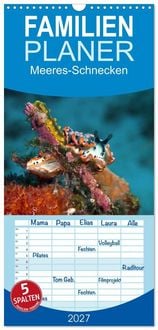 Produktbild: Familienplaner 2027 - Meeres-Schnecken mit 5 Spalten (Wandkalender, 21 x 45 cm) CALVENDO