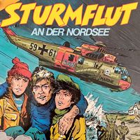 Produktbild: Sturmflut an der Nordsee