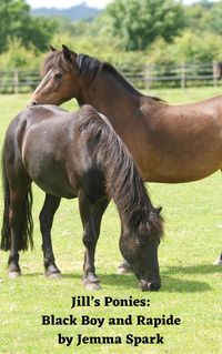Produktbild: Jill's Ponies: Black Boy and Rapide (Jill Series, #8)