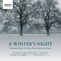 Produktbild: A Winter's Night