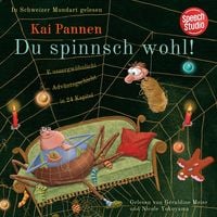 Produktbild: Du spinnst wohl! Eine aussergew&ouml;hnliche Adventsgeschichte in 24 Kapiteln