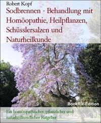 Produktbild: Sodbrennen - Behandlung mit Hom&ouml;opathie, Heilpflanzen, Sch&uuml;sslersalzen und Naturheilkunde