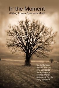 Produktbild: In the Moment - Writing from a Spacious Mind