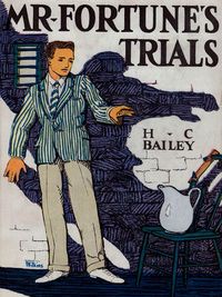 Produktbild: Mr Fortune's Trials