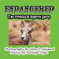 Produktbild: Endangered--The Peninsular Bighorn Sheep