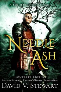Produktbild: Needle Ash (Eternal Dream, #2)