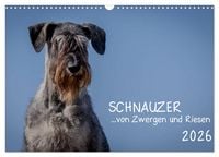 Produktbild: Schnauzer... von Zwergen und Riesen 2026 (Wandkalender 2026 DIN A3 quer), CALVENDO Monatskalender