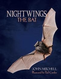 Produktbild: Nightwings The Bat