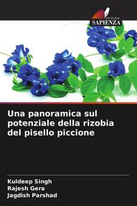 Produktbild: Una panoramica sul potenziale della rizobia del pisello piccione