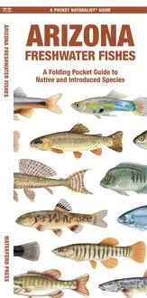 Produktbild: Arizona Freshwater Fishes