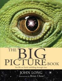 Produktbild: The Big Picture Book