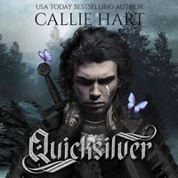 Produktbild: Quicksilver - Saga Alquimia & Fae vol. 1