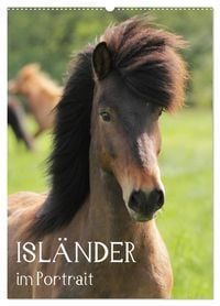 Produktbild: Isl&auml;nder im Portrait (Wandkalender 2026 DIN A2 hoch), CALVENDO Monatskalender