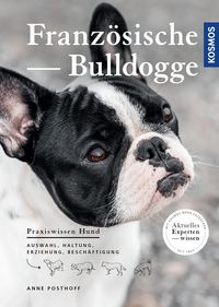 Produktbild: Franz&ouml;sische Bulldogge