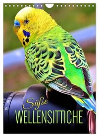 Produktbild: S&uuml;&szlig;e Wellensittiche (Wandkalender 2026 DIN A4 hoch), CALVENDO Monatskalender