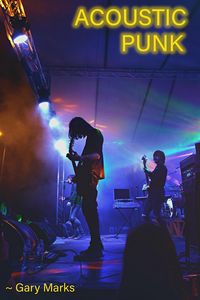 Produktbild: Acoustic Punk