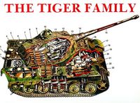 Produktbild: The Tiger Family