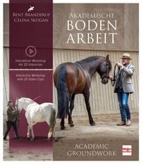 Produktbild: Akademische Bodenarbeit - Interaktiver Workshop mit 20 Videoclips