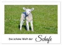 Produktbild: Die sch&ouml;ne Welt der Schafe (Wandkalender 2026 DIN A2 quer), CALVENDO Monatskalender