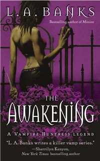 Produktbild: Awakening