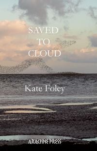 Produktbild: Saved to Cloud