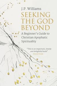Produktbild: Seeking the God Beyond