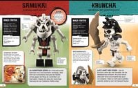 LEGO® NINJAGO® Lexikon der Minifiguren. Neuausgabe