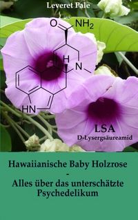 Produktbild: Hawaiianische Baby Holzrose