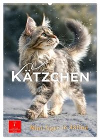 Produktbild: K&auml;tzchen - Mini-Tiger in Aktion (Wandkalender 2027 DIN A2 hoch), CALVENDO Monatskalender
