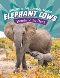 Produktbild: Elephant Cows