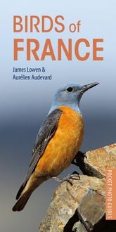 Produktbild: Birds of France