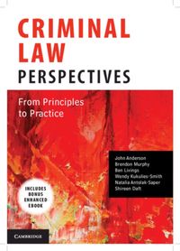 Produktbild: Criminal Law Perspectives