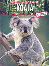 Produktbild: Koala