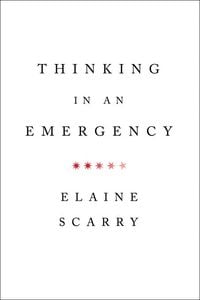 Produktbild: Thinking in an Emergency