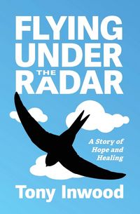 Produktbild: Flying under the Radar