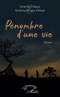 Produktbild: P&eacute;nombre d'une vie