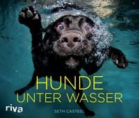Produktbild: Hunde unter Wasser
